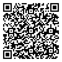 Casa Del Árbol Condo